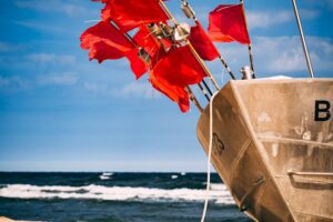 Beat Narcissistic Financial Abuse Red Flags and Solutions Beat Narcissistic Financial Abuse Red Flags and Solutions